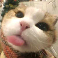 sirinda.296