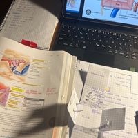 studywithpk._