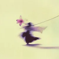 original sound - shabnur409