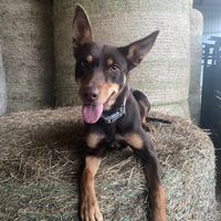 farm_stuff40