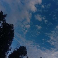 citlalli.hernandez85