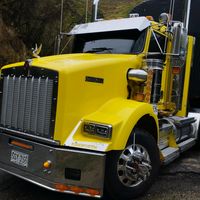 brayancastrellon345truck