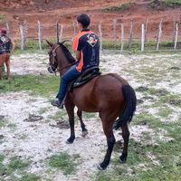 cleysonferreira311