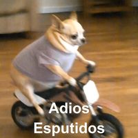 Paparutainu