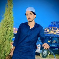 riaz_gull55