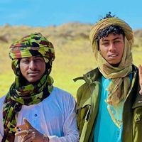 الصوت الأصلي
