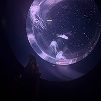 オリジナル楽曲 - にこ