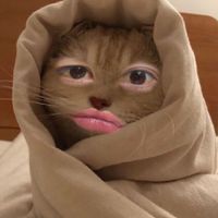 เสียงต้นฉบับ - _fa_