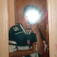farrel_stecu2006