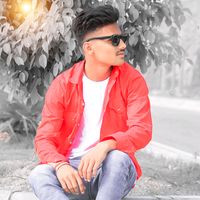 bipinshah285