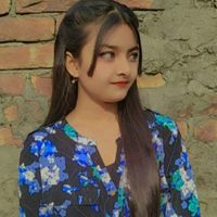 mithila_pro_