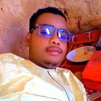 ibrahimsalihou435tiktok1