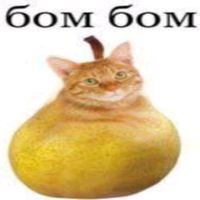 hobbychayning