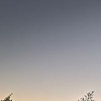 オリジナル楽曲 - 鬱兄