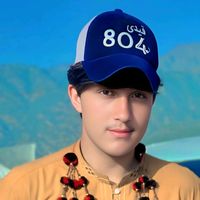 hussainahmad60098