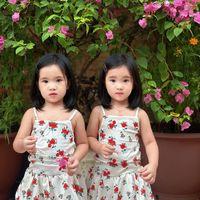twinhelevien2