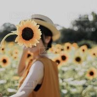 オリジナル楽曲 - 🌻🌼