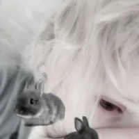 original sound - lilnsillyboiii