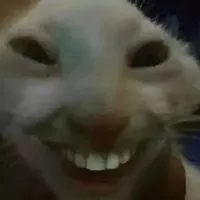 original sound - sisi.2711