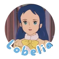 تصوير خطوات العمل