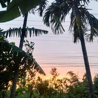 aayusharai920
