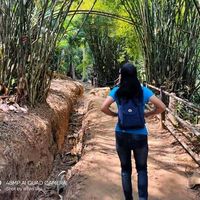 เสียงต้นฉบับ - ชื่นชีวัน