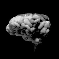 オリジナル楽曲 - 梅かっぱ Plum Raincoat