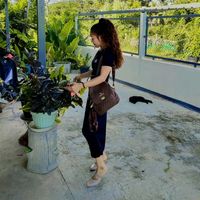 sumalee_nong