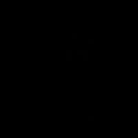 vigooz0
