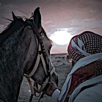 الصوت الأصلي