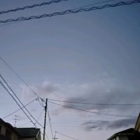 オリジナル楽曲 - 🎺wako⚽