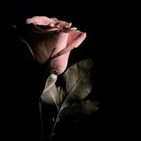 heer_writes025