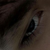 alx_xcv
