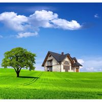 nhạc nền - kpă clung