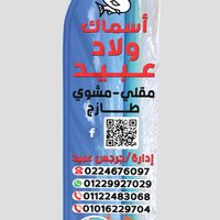 الصوت الأصلي - أسماك ولاد عبيد