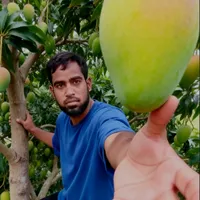 original sound - sk.tajuddin4