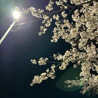 オリジナル楽曲 - い