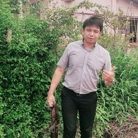tonyhaii