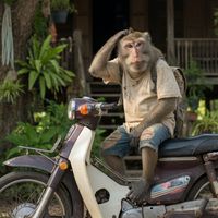 เสียงต้นฉบับ - ไอ้จ่อยหลานยายศรี