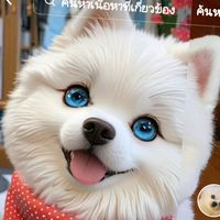 เสียงต้นฉบับ - แชมเปญ
