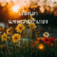 insha_2925