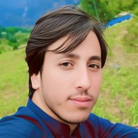 ibrahimjanisar