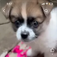 original sound - koreaphoto