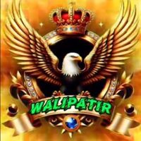 walipatir77