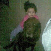 whois_majo21