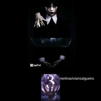 merlinaviviansalgueiro