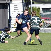 rugby_lyall