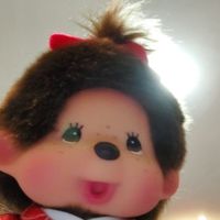 pochaccolover01