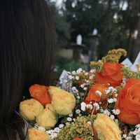 dahliavx