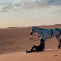 الصوت الأصلي
